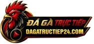 DAGATRUCTIEP24COM