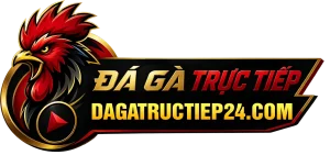 DAGATRUCTIEP24COM