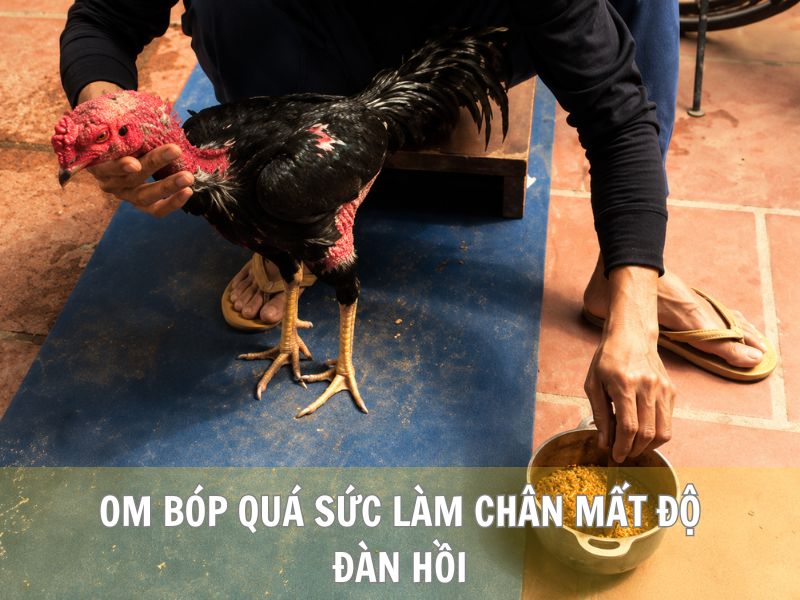 Om Bóp Quá Sức Làm Chân Mất Độ Đàn Hồi